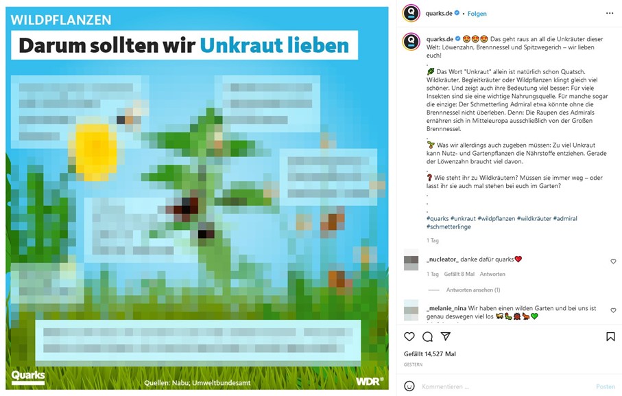 Screenshot eines Instagram-Posts mit Infografik von Quarks.de